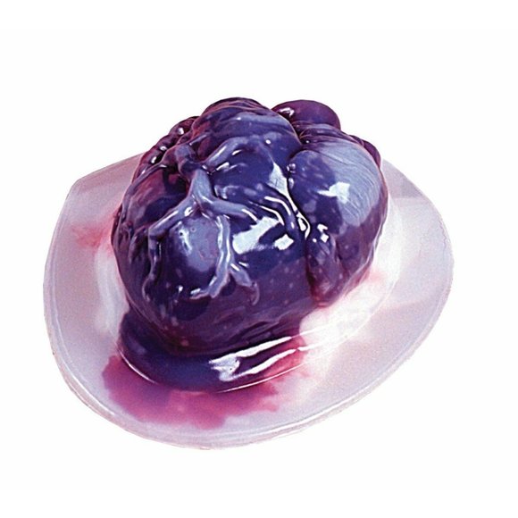 Fun World Human Heart Shaped Gelatin Mold Halloween Party Food Candy Decoration - Picture 1 of 3